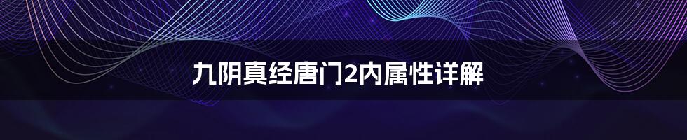 九阴真经唐门2内属性详解