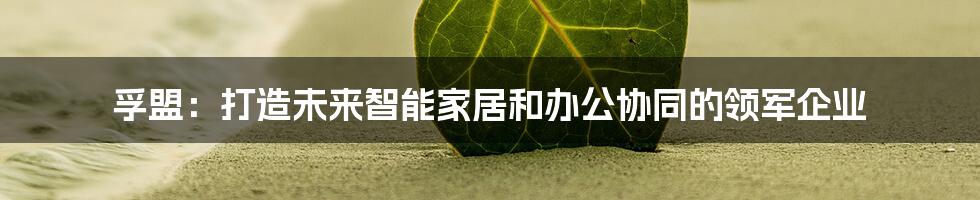 孚盟：打造未来智能家居和办公协同的领军企业