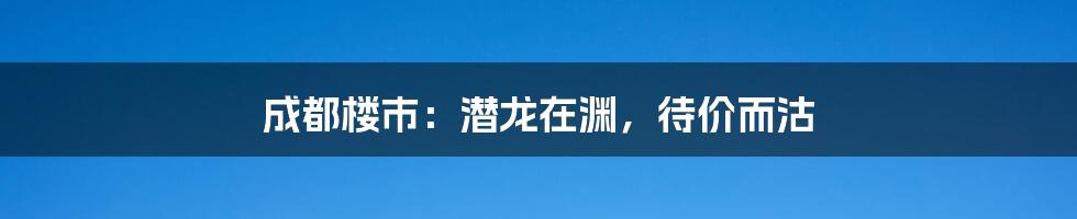 成都楼市：潜龙在渊，待价而沽