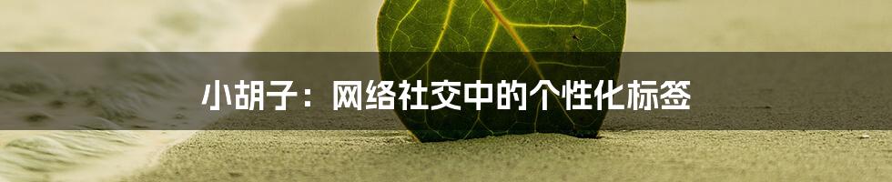 小胡子：网络社交中的个性化标签