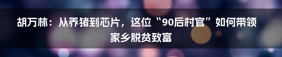 胡万林：从养猪到芯片，这位“90后村官”如何带领家乡脱贫致富