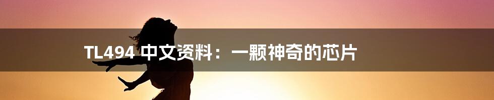 TL494 中文资料：一颗神奇的芯片