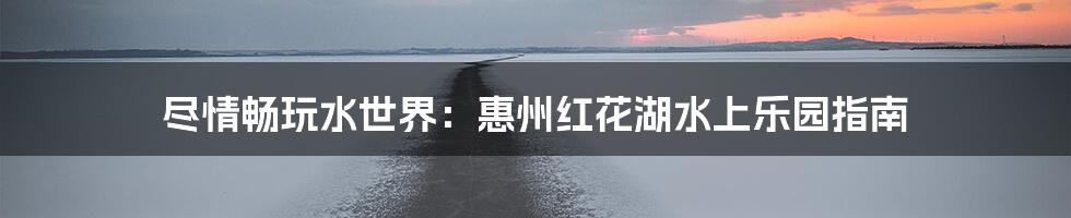 尽情畅玩水世界：惠州红花湖水上乐园指南