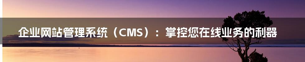 企业网站管理系统（CMS）：掌控您在线业务的利器