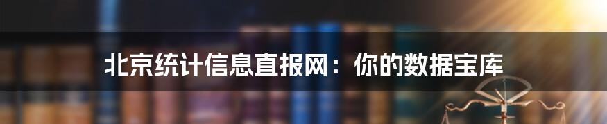 北京统计信息直报网：你的数据宝库