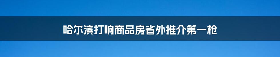 哈尔滨打响商品房省外推介第一枪