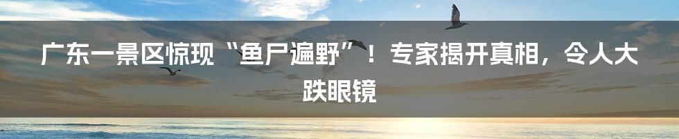 广东一景区惊现“鱼尸遍野”！专家揭开真相，令人大跌眼镜