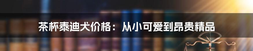 茶杯泰迪犬价格：从小可爱到昂贵精品