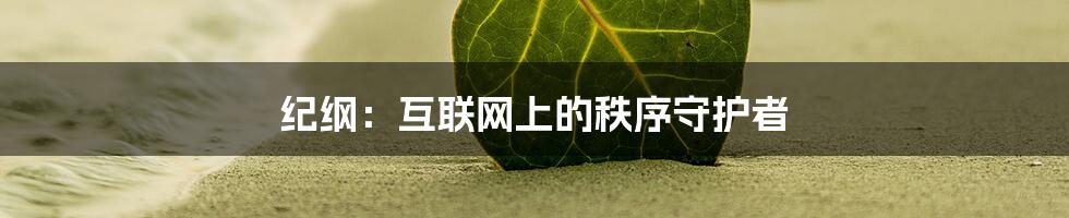 纪纲：互联网上的秩序守护者