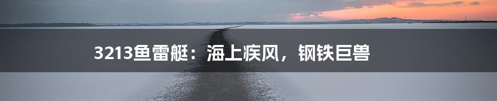 3213鱼雷艇：海上疾风，钢铁巨兽