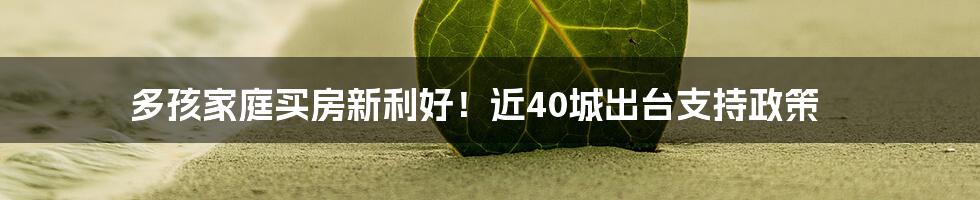 多孩家庭买房新利好！近40城出台支持政策