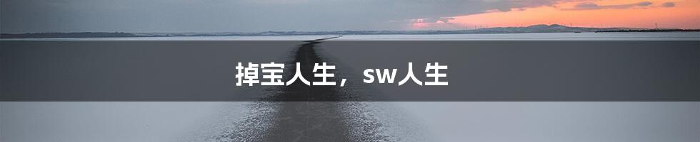 掉宝人生，sw人生