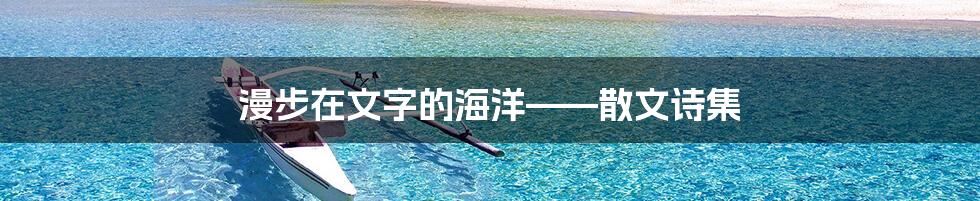 漫步在文字的海洋——散文诗集