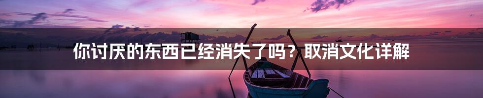 你讨厌的东西已经消失了吗？取消文化详解