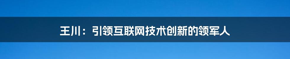 王川：引领互联网技术创新的领军人