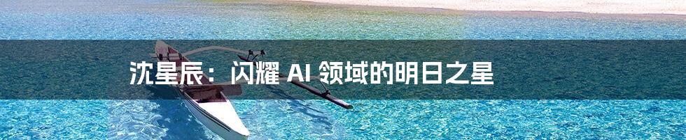 沈星辰：闪耀 AI 领域的明日之星