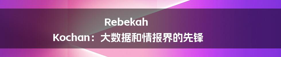 Rebekah Kochan：大数据和情报界的先锋