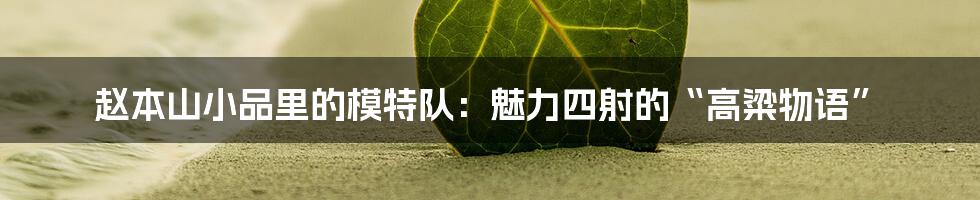 赵本山小品里的模特队：魅力四射的“高粱物语”