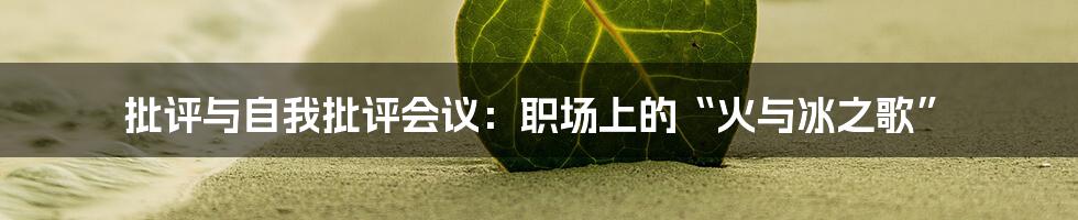 批评与自我批评会议：职场上的“火与冰之歌”