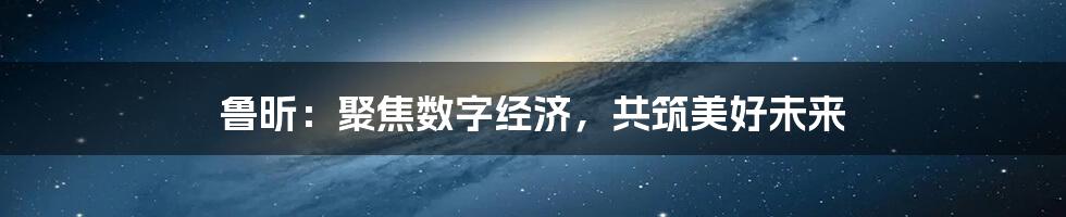 鲁昕：聚焦数字经济，共筑美好未来