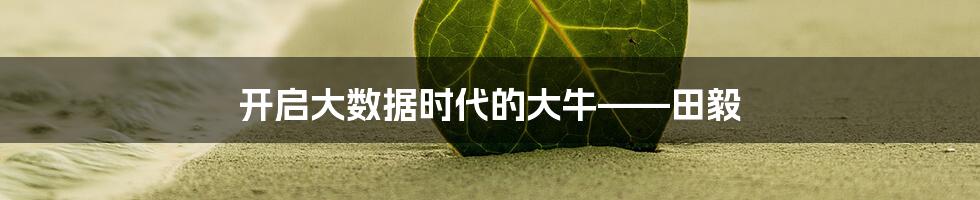 开启大数据时代的大牛——田毅