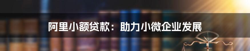 阿里小额贷款：助力小微企业发展