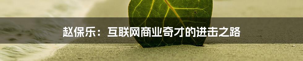 赵保乐：互联网商业奇才的进击之路