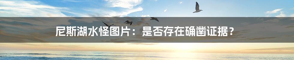 尼斯湖水怪图片：是否存在确凿证据？