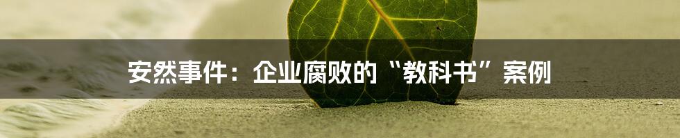 安然事件：企业腐败的“教科书”案例