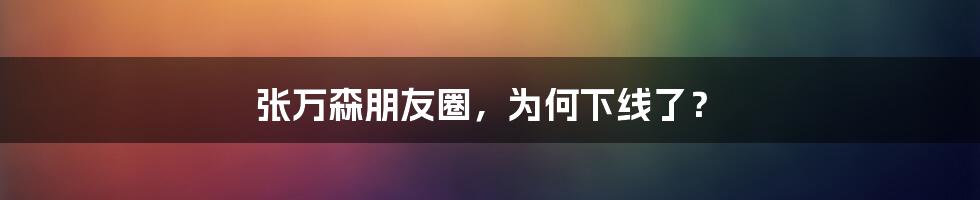 张万森朋友圈，为何下线了？