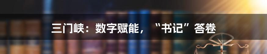 三门峡：数字赋能，“书记”答卷