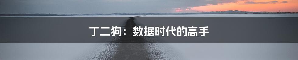 丁二狗：数据时代的高手