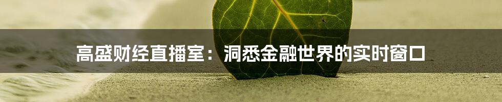 高盛财经直播室：洞悉金融世界的实时窗口