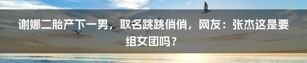 谢娜二胎产下一男，取名跳跳俏俏，网友：张杰这是要组女团吗？