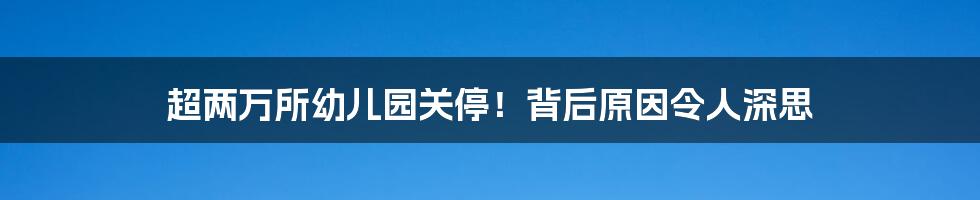 超两万所幼儿园关停！背后原因令人深思