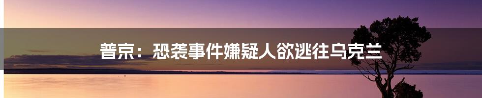 普京：恐袭事件嫌疑人欲逃往乌克兰