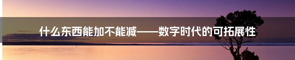 什么东西能加不能减——数字时代的可拓展性