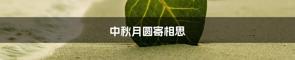 中秋月圆寄相思