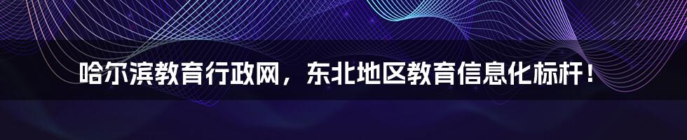 哈尔滨教育行政网，东北地区教育信息化标杆！