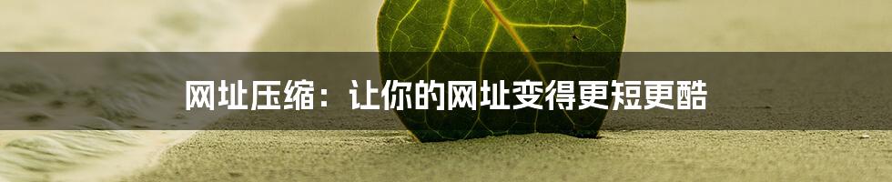 网址压缩：让你的网址变得更短更酷