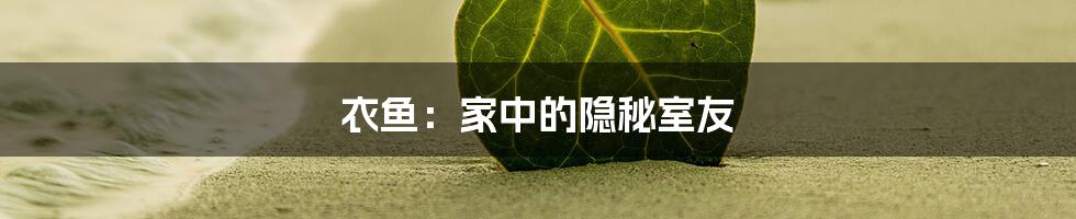 衣鱼：家中的隐秘室友