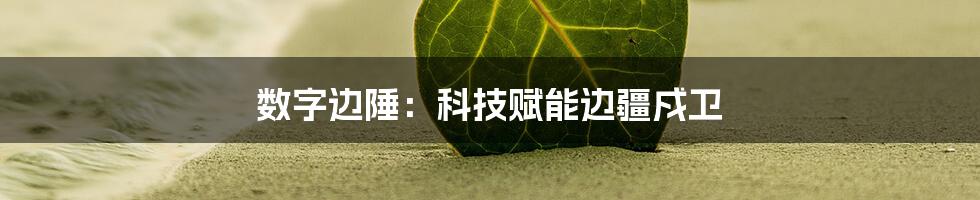 数字边陲：科技赋能边疆戍卫