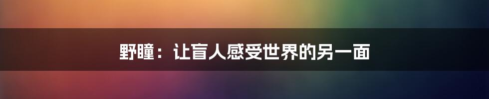 野瞳：让盲人感受世界的另一面