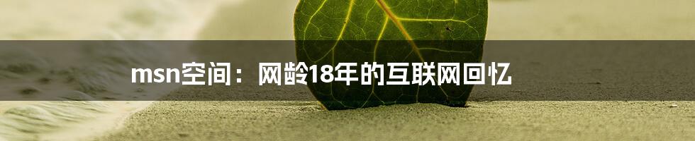 msn空间：网龄18年的互联网回忆