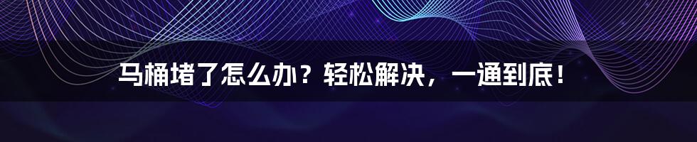 马桶堵了怎么办？轻松解决，一通到底！