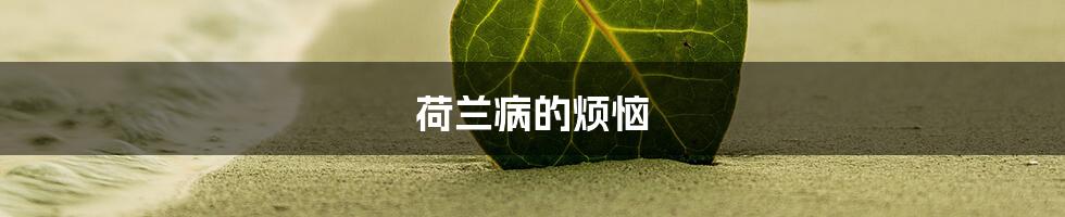 荷兰病的烦恼