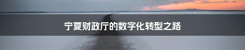 宁夏财政厅的数字化转型之路