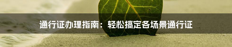 通行证办理指南：轻松搞定各场景通行证