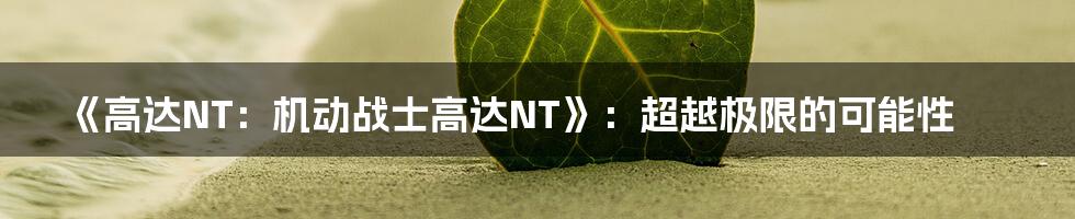 《高达NT：机动战士高达NT》：超越极限的可能性