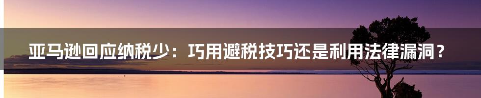 亚马逊回应纳税少：巧用避税技巧还是利用法律漏洞？